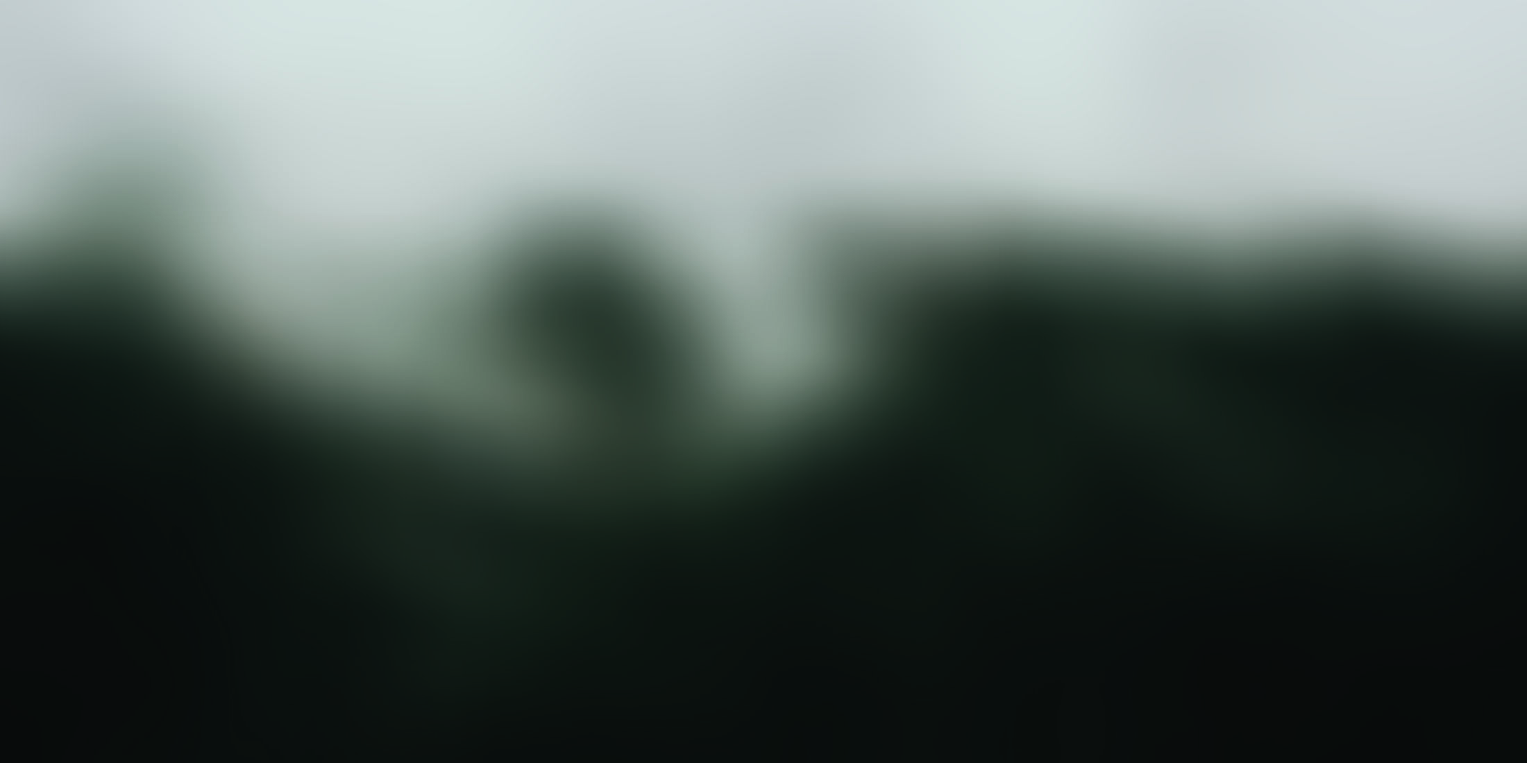 cold-desktop-wallpaper-fog-1292115.jpg